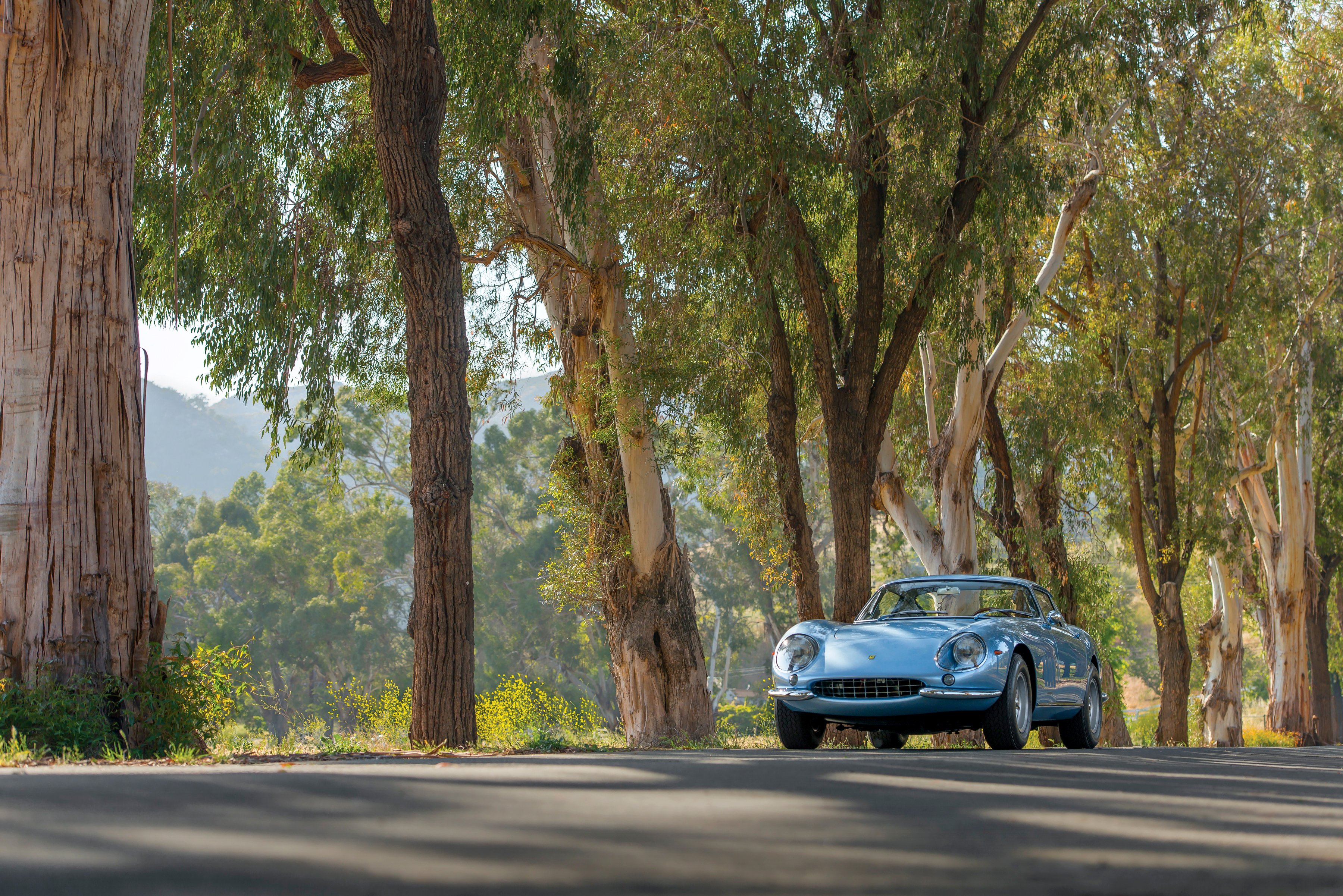 1966, Ferrari, 275, Gtb, 6 c, Lega, Classic, Supercar Wallpaper