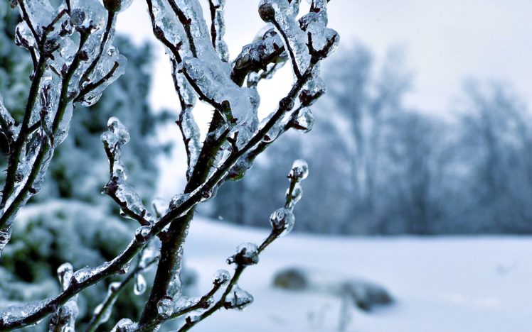 invierno, Nieve, Hielo HD Wallpaper Desktop Background