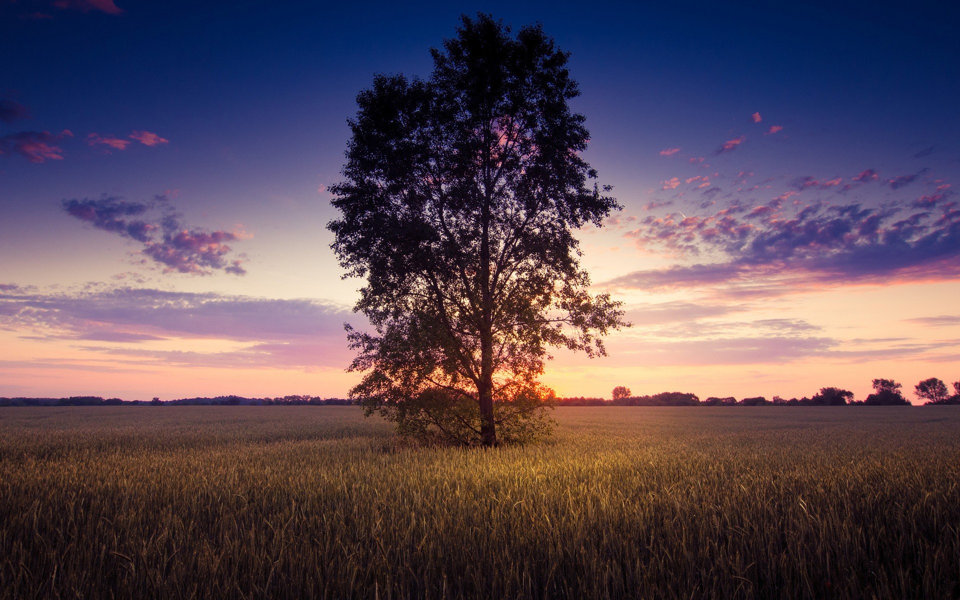 sunset, Clouds, Landscapes, Trees, Fields, Skyscapes Wallpaper
