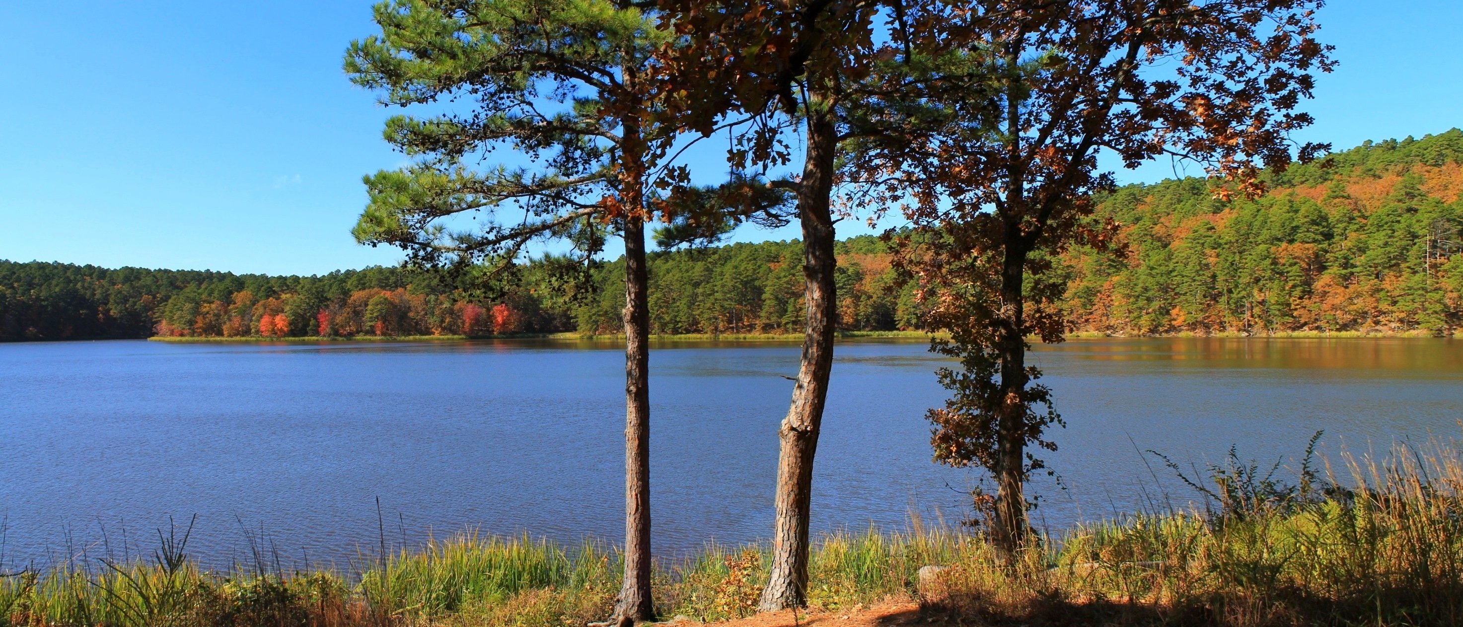 lake, Nature, Water, Landscape Wallpaper