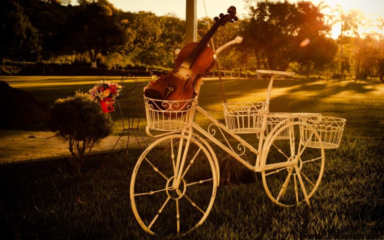 sunset, Bike, Mood, Tree, Grass, Beauty, Violin, Beautiful, Summer HD Wallpaper Desktop Background