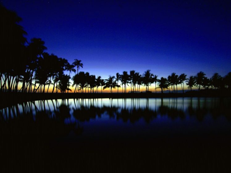 sunset, Summer, Beauty, Beautiful, Sea, Tree, Nature, Landscape, Ocean HD Wallpaper Desktop Background