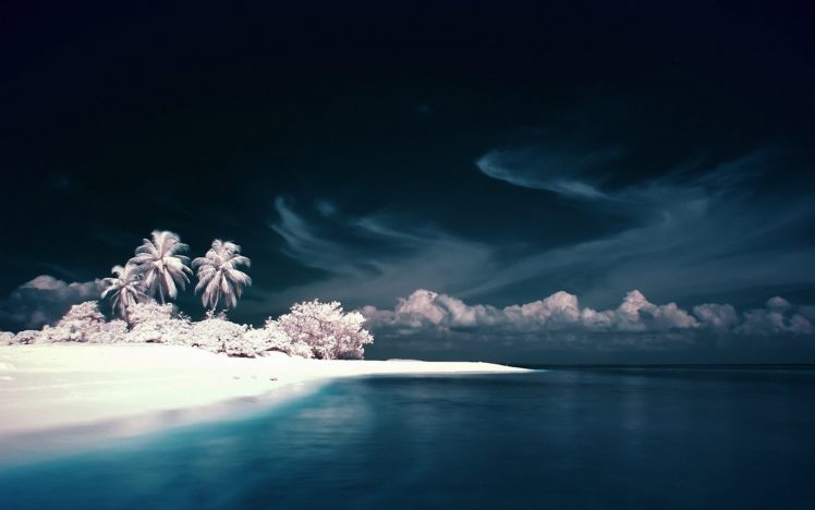 beauty, Beautiful, Sea, Tree, Nature, Landscape, Ocean HD Wallpaper Desktop Background