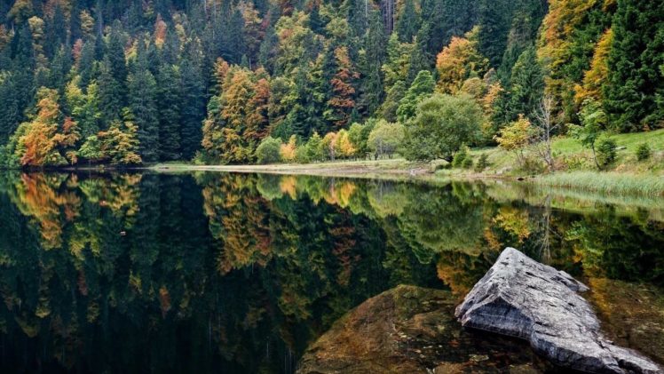 amazing, Beautiful, Landscape, Nature, Lake, Forest HD Wallpaper Desktop Background