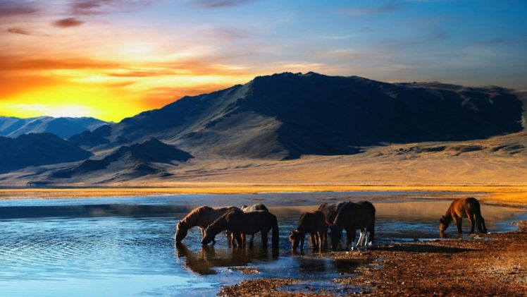 amazing, Beautiful, Landscape, Nature, Sky, Clouds, Sunset, Animal, Horse HD Wallpaper Desktop Background