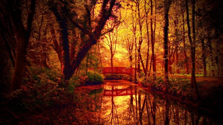 fantastic, Autumn, Colors, On, Bridge, Over, A, Forest, Creek HD Wallpaper Desktop Background