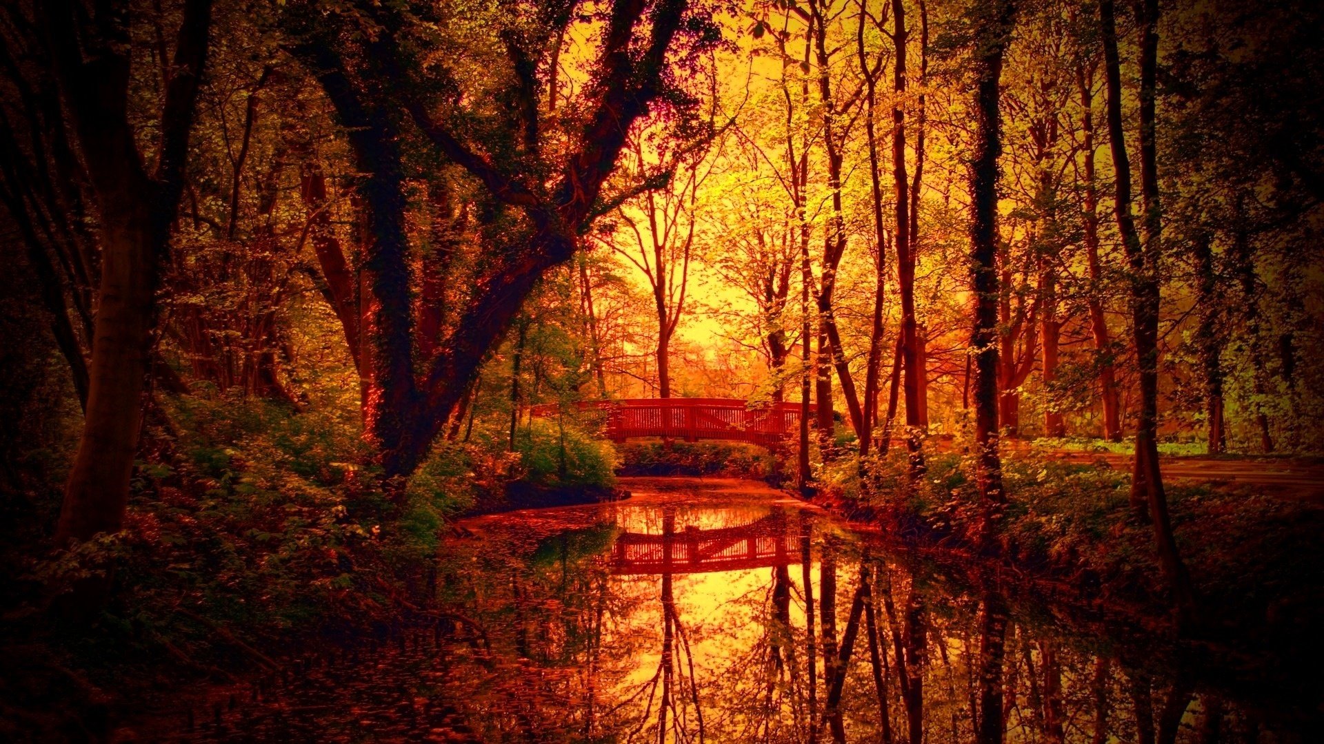 fantastic, Autumn, Colors, On, Bridge, Over, A, Forest, Creek Wallpaper