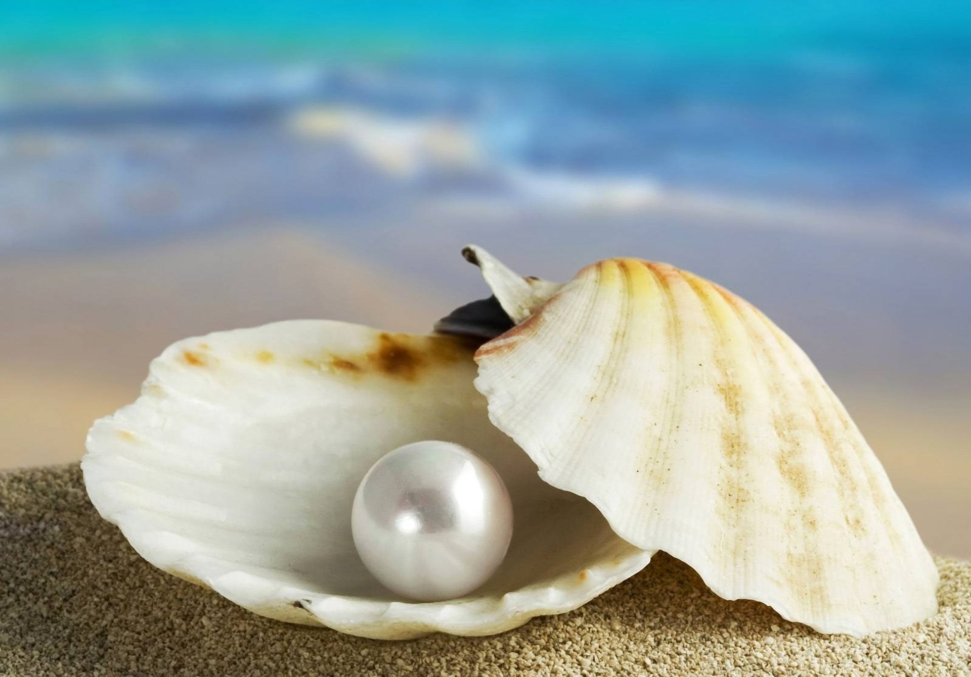 pearl, Ocean, Sea, Beach, Nature, Beauty, Beautiful Wallpaper