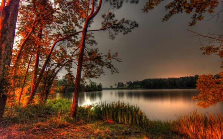 nature, Landscape, Beauty, Beautiful, Sky, Tree, Lake, Sunset, Forest HD Wallpaper Desktop Background