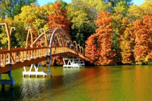 beautiful, Bridge, Over, River, In, Autumn