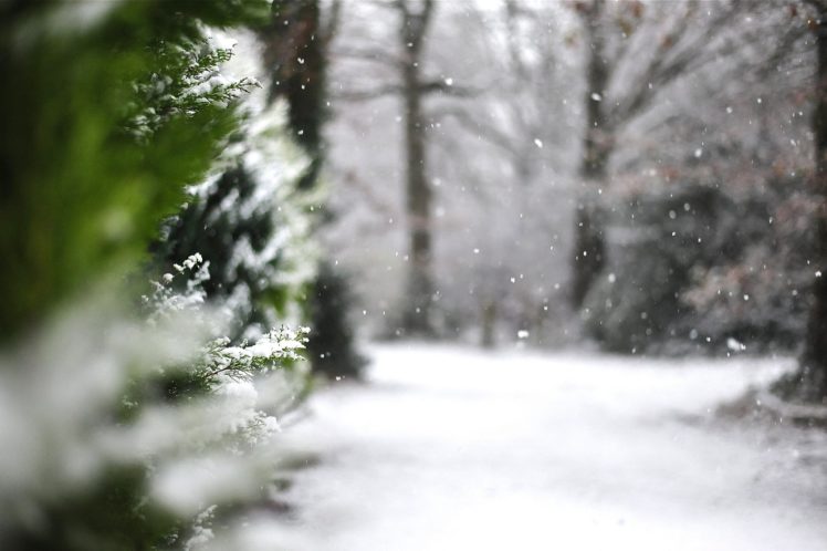 nature, Landscape, Beauty, Beautiful, Snow, Winter, Tree HD Wallpaper Desktop Background