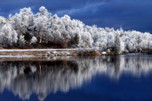 nature, Landscape, Beauty, Beautiful, Sky, Tree, Snow, Winter, Lake, Forest
