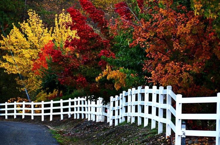 fall, Colors, Nature, Landscape, Beauty, Beautiful, Autumn, Tree HD Wallpaper Desktop Background