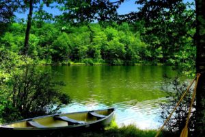 boat, Water, Wood, Oars, Bots, Lakes, Trees, Reflection