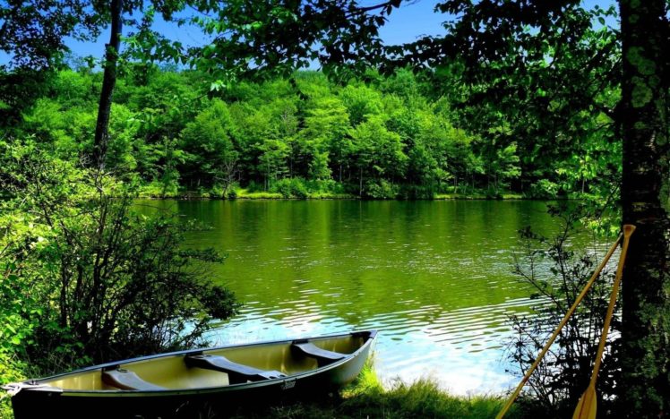 boat, Water, Wood, Oars, Bots, Lakes, Trees, Reflection HD Wallpaper Desktop Background