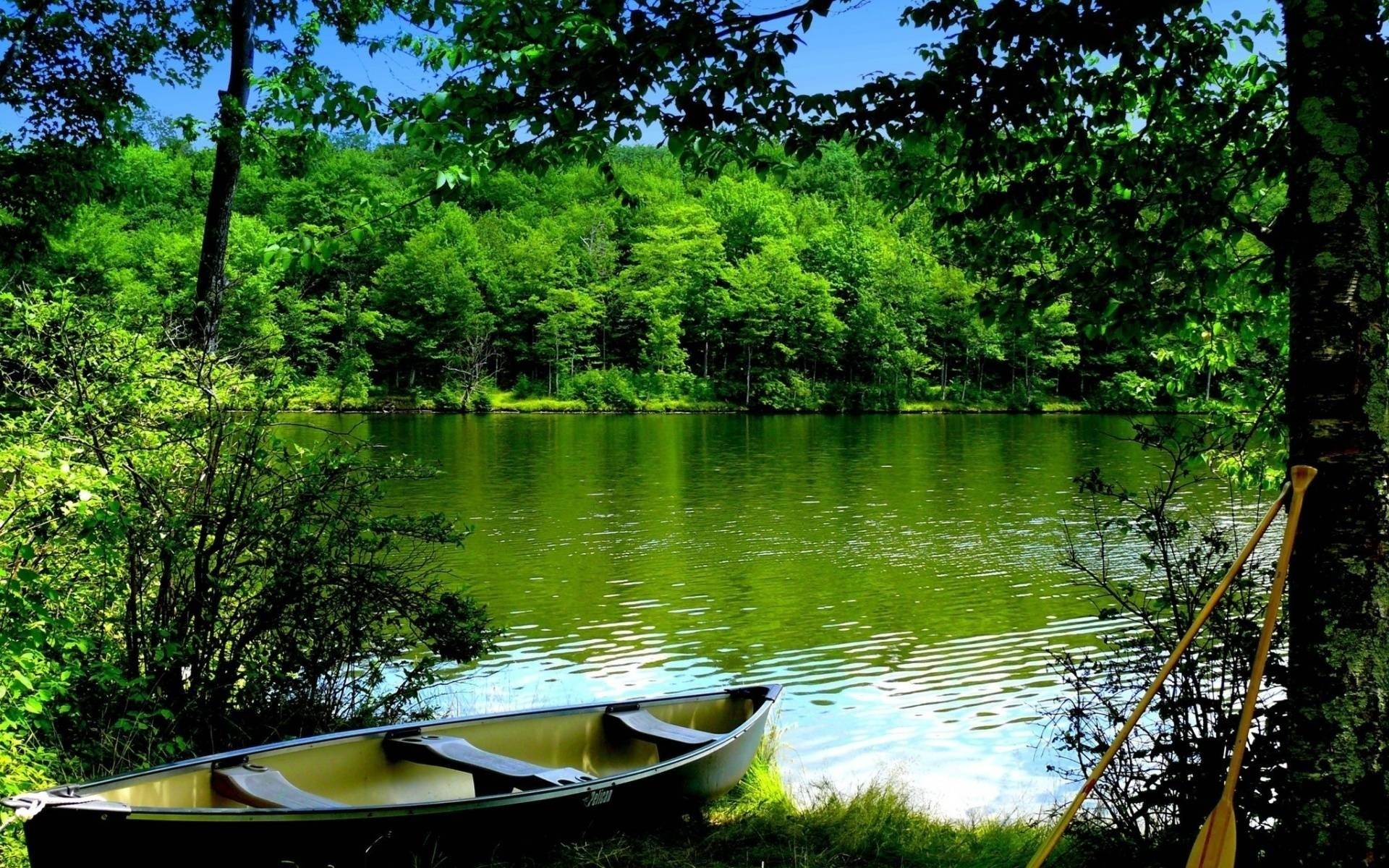 boat, Water, Wood, Oars, Bots, Lakes, Trees, Reflection Wallpaper