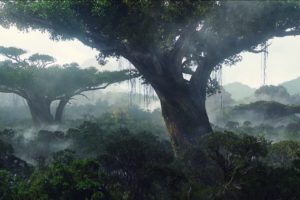 trees, Landscape, Jungle, Forest, Fog, Mist