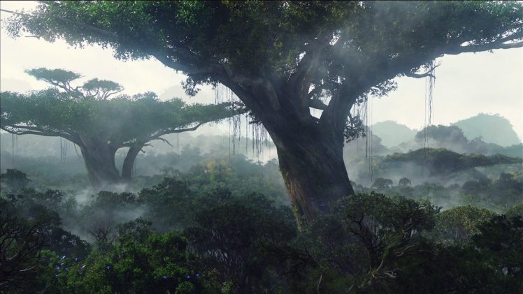 trees, Landscape, Jungle, Forest, Fog, Mist HD Wallpaper Desktop Background