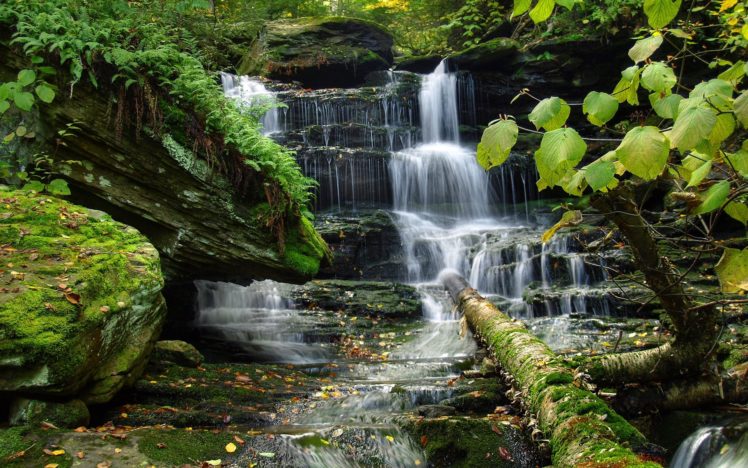 waterfall, Trees, Vegetation, Nature, Moss, Rivers, Forest HD Wallpaper Desktop Background