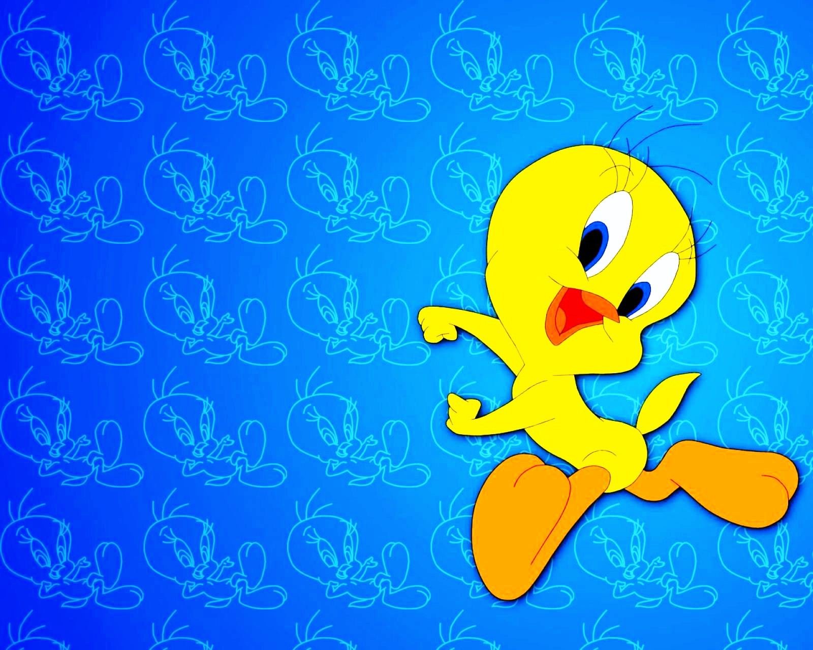 looney, Tunes, Humor, Funny, Cartoon, Family, Merrie, Melodies Wallpapers H...