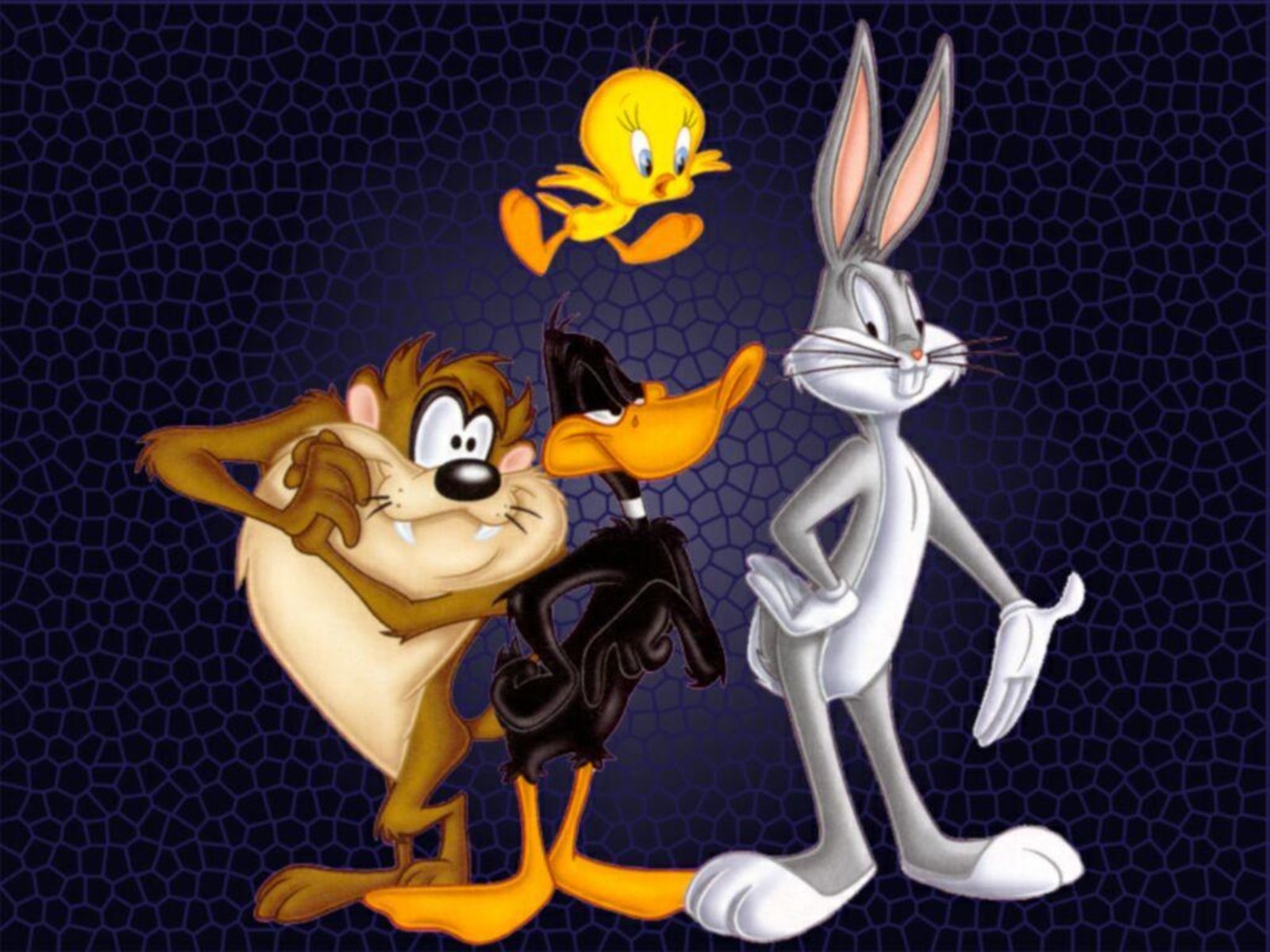 looney, Tunes, Humor, Funny, Cartoon, Family, Merrie, Melodies Wallpaper