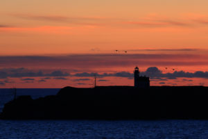 lighthouse, Sunset, Evening, Seagulls, Ocean, Sea, Bird, Birds