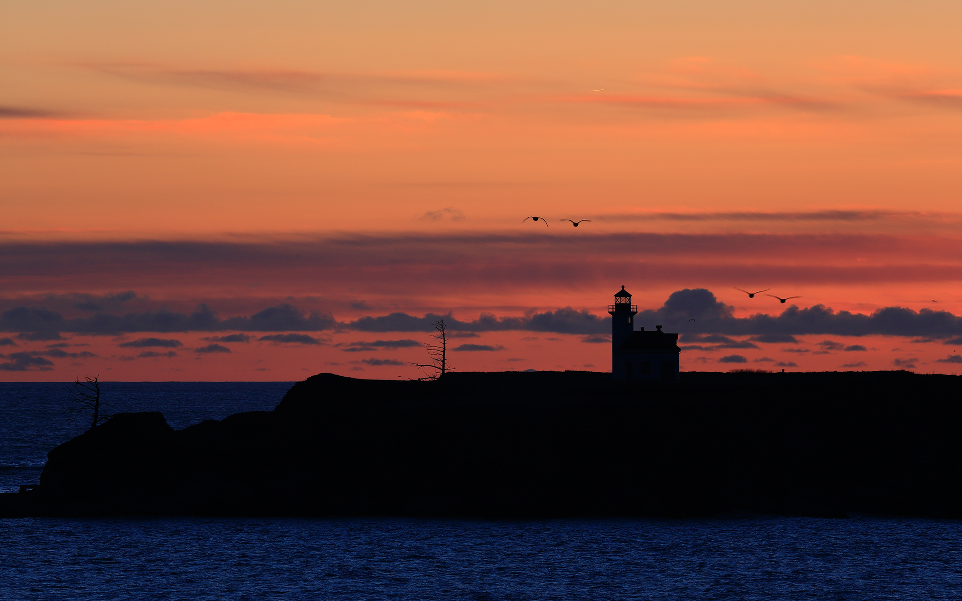 lighthouse, Sunset, Evening, Seagulls, Ocean, Sea, Bird, Birds Wallpaper