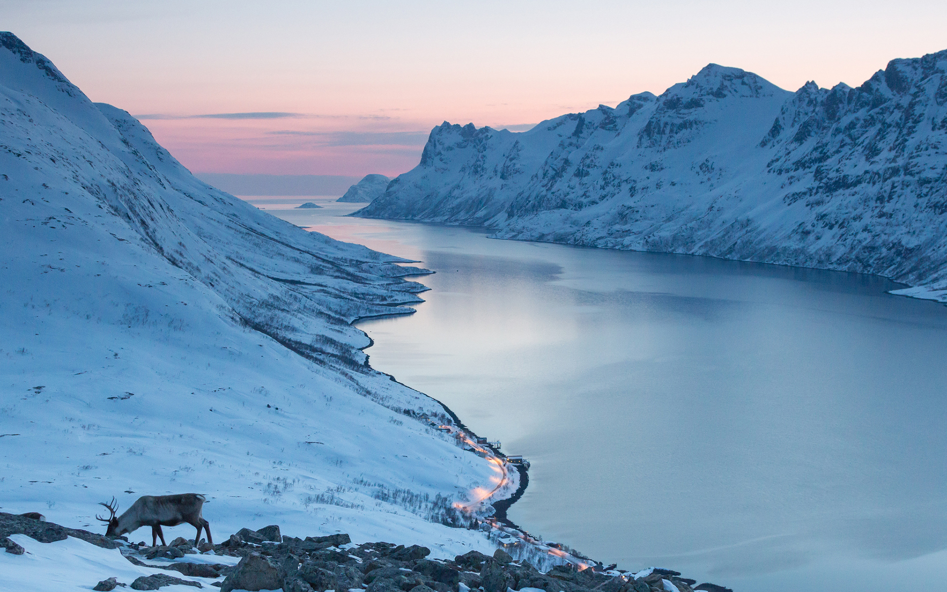 ocean, Valley, Mountains, Landscapes, Snow, Winter, Elk, Deer, Sunrise, Sunset Wallpaper
