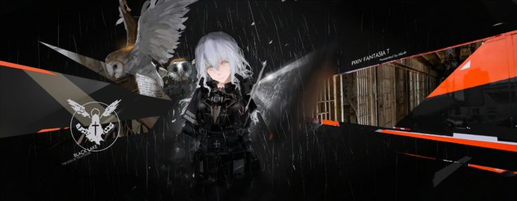 animal, Bird, Dark, Gray, Hair, Mivit, Owl, Pixiv, Fantasia, Weapon, Yellow, Eyes HD Wallpaper Desktop Background
