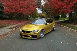 trees, Leaves, Car, Road, Bmw, Tuning