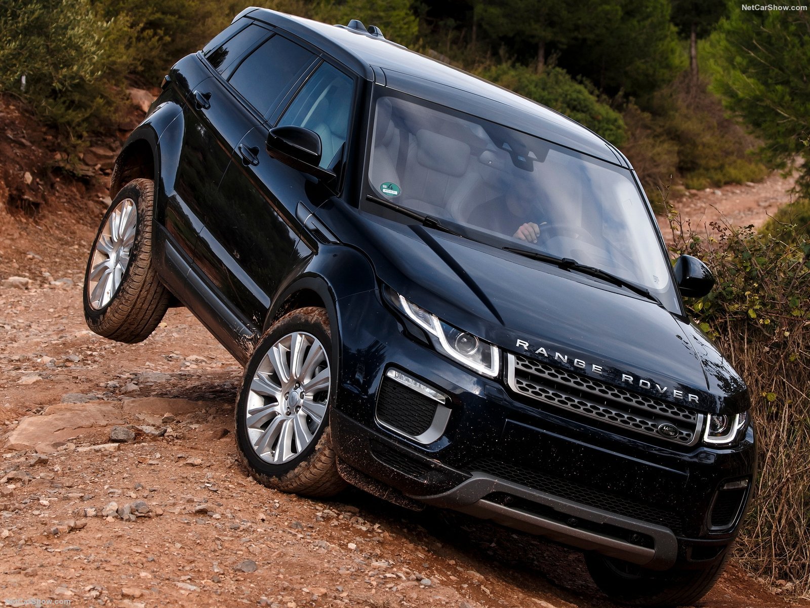 range, Rover, Evoque, Cars, Suv, 2016 Wallpaper