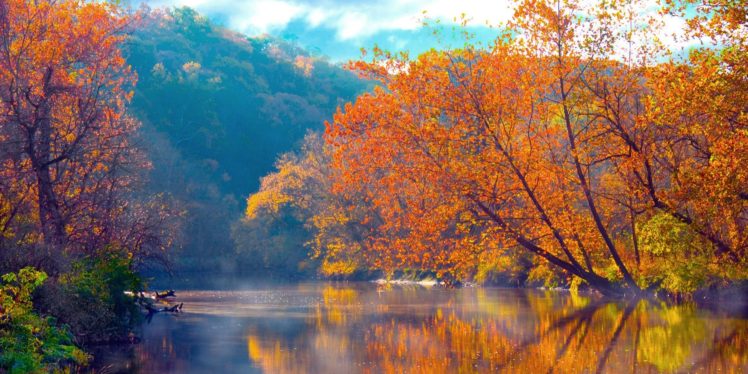 autumn, Fall, Tree, Forest, Landscape, Nature, Leaves Wallpapers HD ...