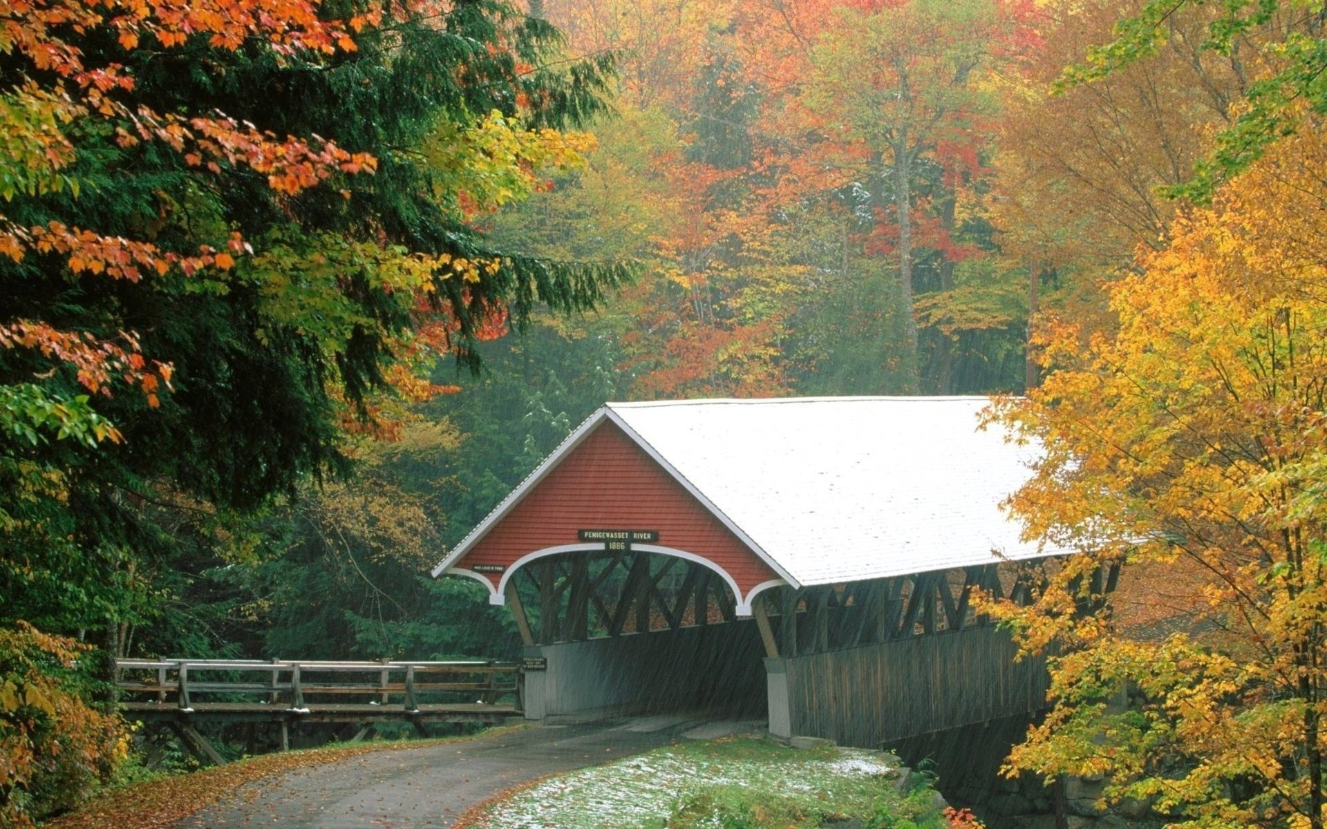 autumn, Fall, Tree, Forest, Landscape, Nature, Leaves, Bridge Wallpaper