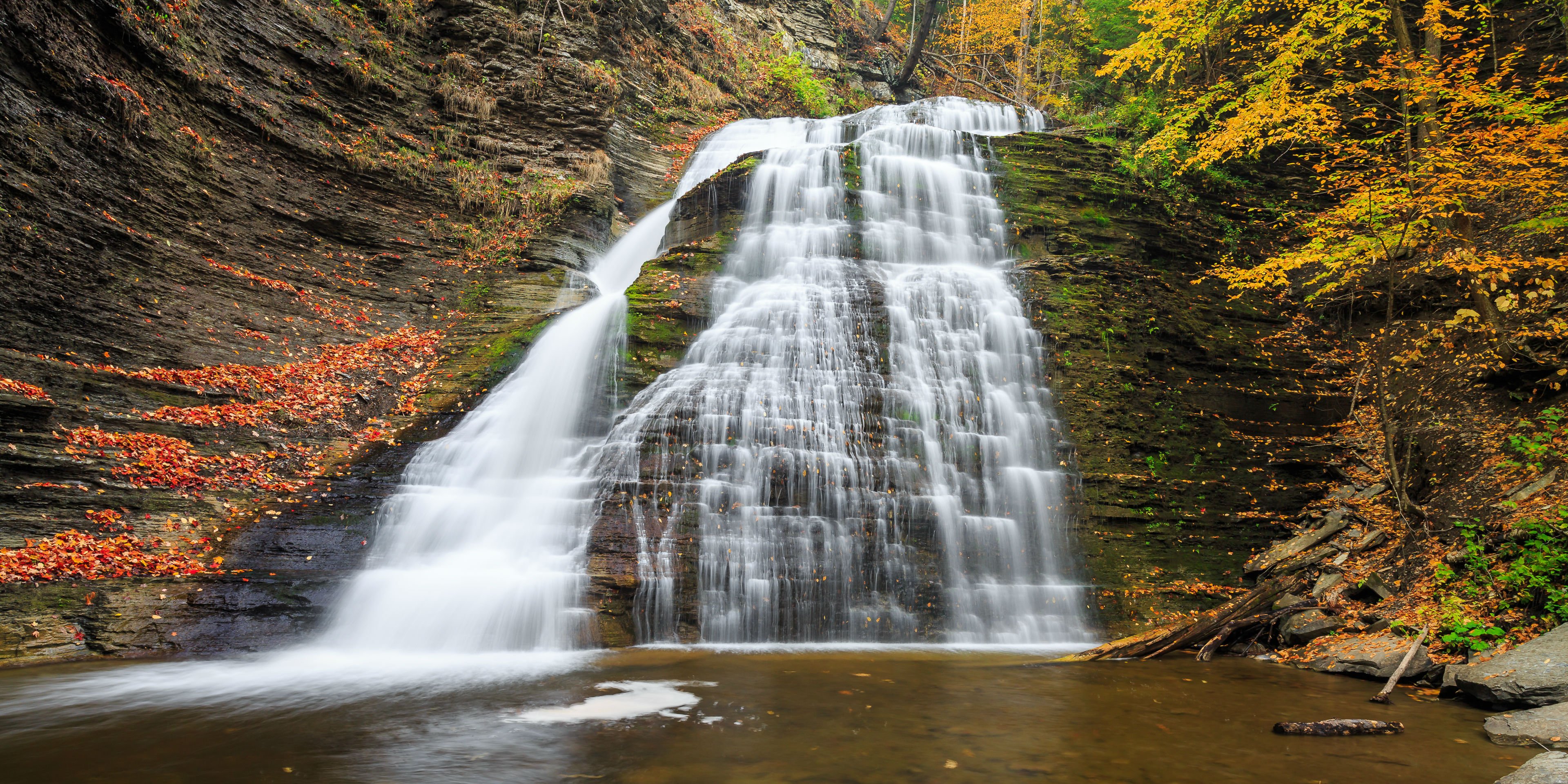 autumn, Fall, Tree, Forest, Landscape, Nature, Leaves Wallpaper