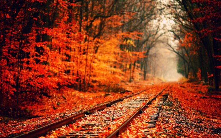 autumn, Fall, Landscape, Nature, Tree, Forest, Railroad, Tracks, Train HD Wallpaper Desktop Background