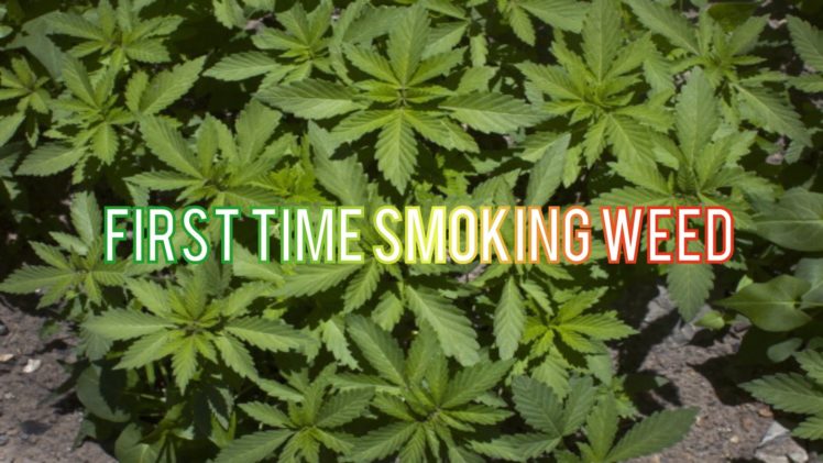marijuana, Weed, 420, Drugs, Poster HD Wallpaper Desktop Background