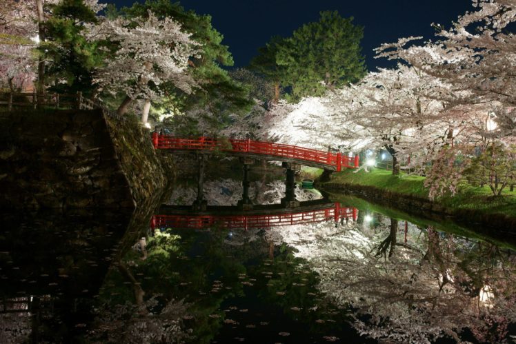 landscape, Bridge, Sakura, Trees, Beauty, Beautiful, River HD Wallpaper Desktop Background