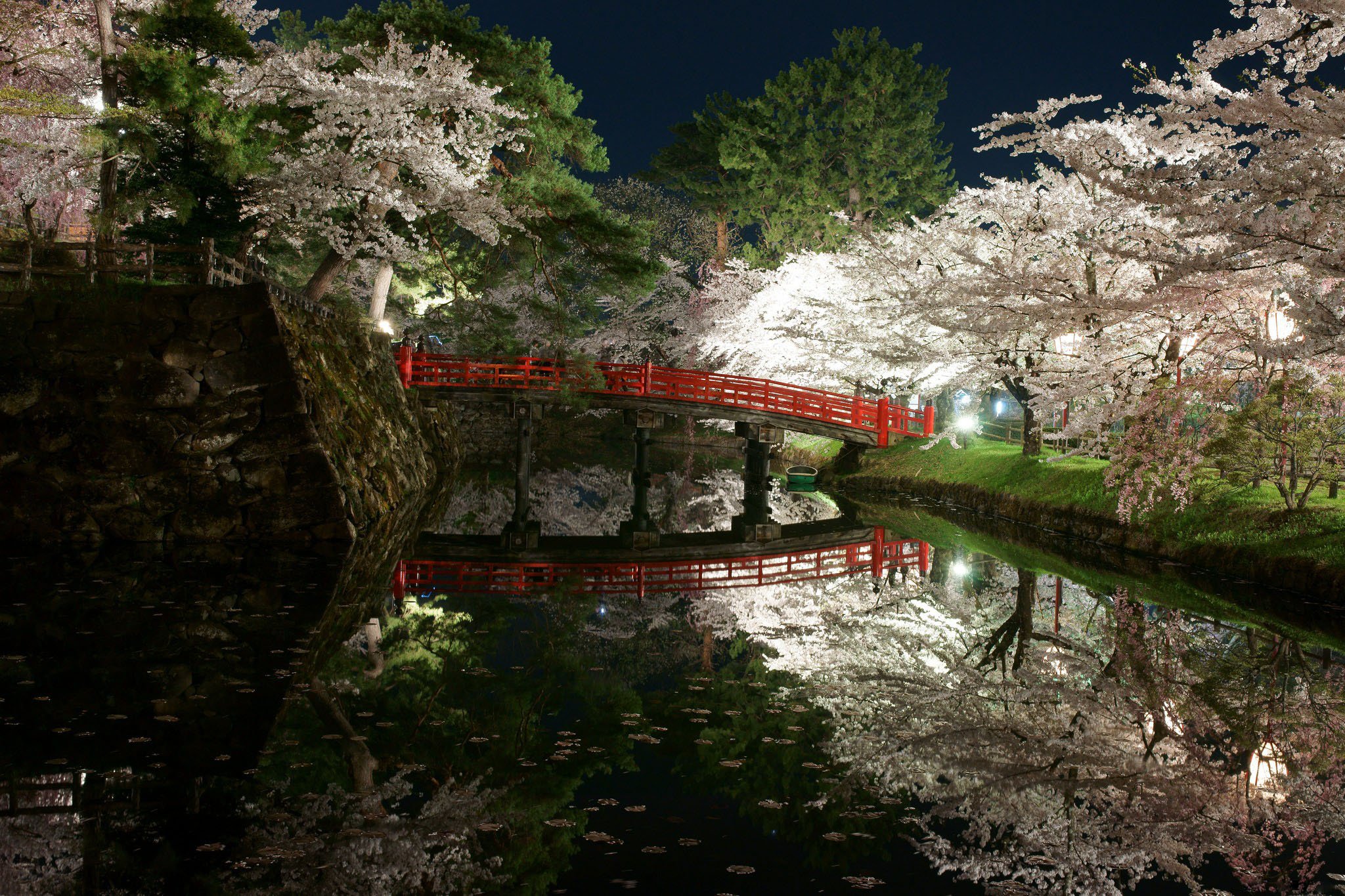 landscape, Bridge, Sakura, Trees, Beauty, Beautiful, River Wallpaper