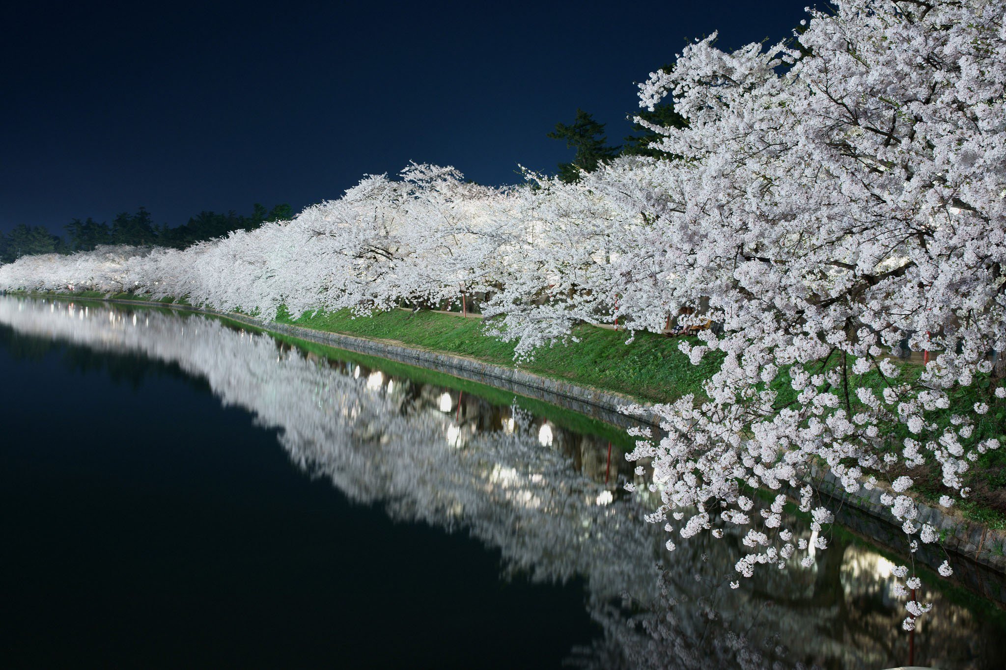 landscape, Sakura, Trees, Beauty, Beautiful, River Wallpaper