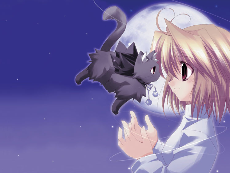 animal, Arcueid, Brunestud, Cat, Moon, Ren, Shingetsutan, Tsukihime HD Wallpaper Desktop Background