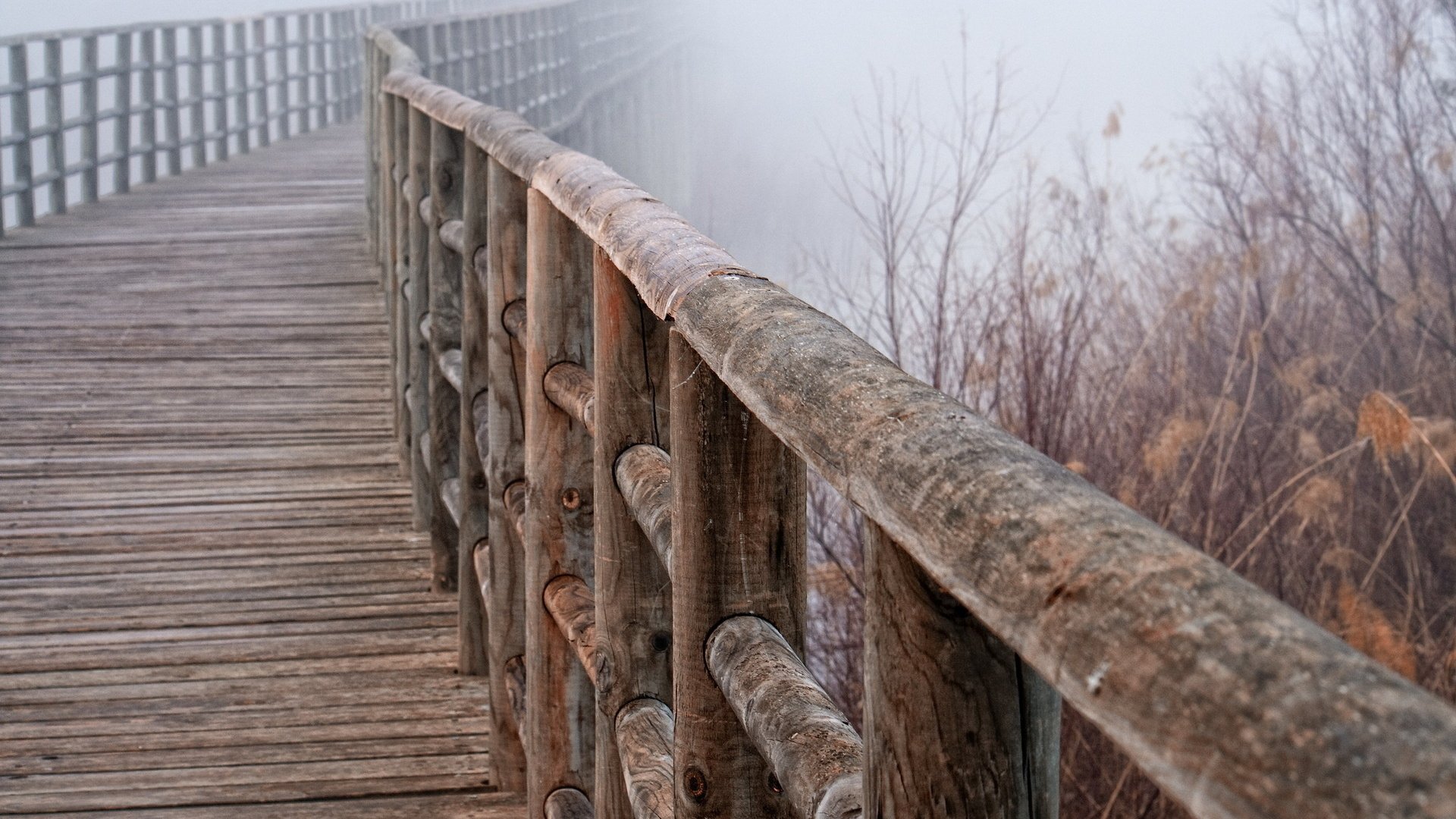 fog, Tree, Beauty, Landscape, Winter, Bridge Wallpaper