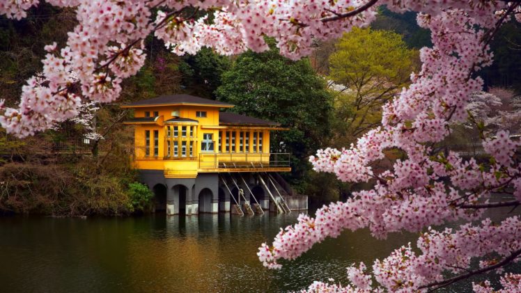 spring, Flower, Tree, Beauty, Lake, House, Landscape HD Wallpaper Desktop Background