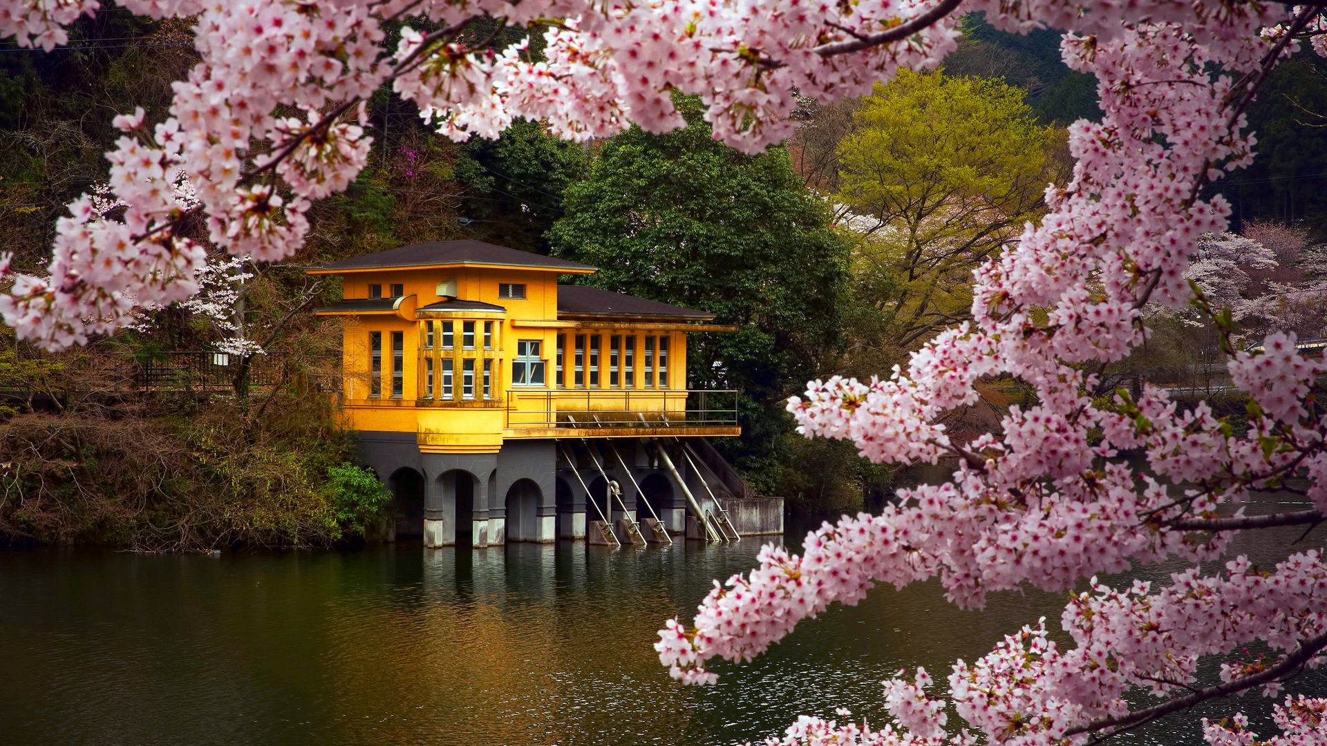 spring, Flower, Tree, Beauty, Lake, House, Landscape Wallpaper