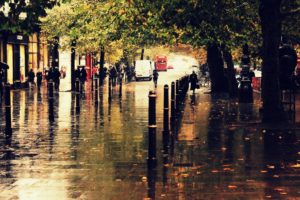 rain, Autumn, Nature, Landscape, Beauty, City, Street