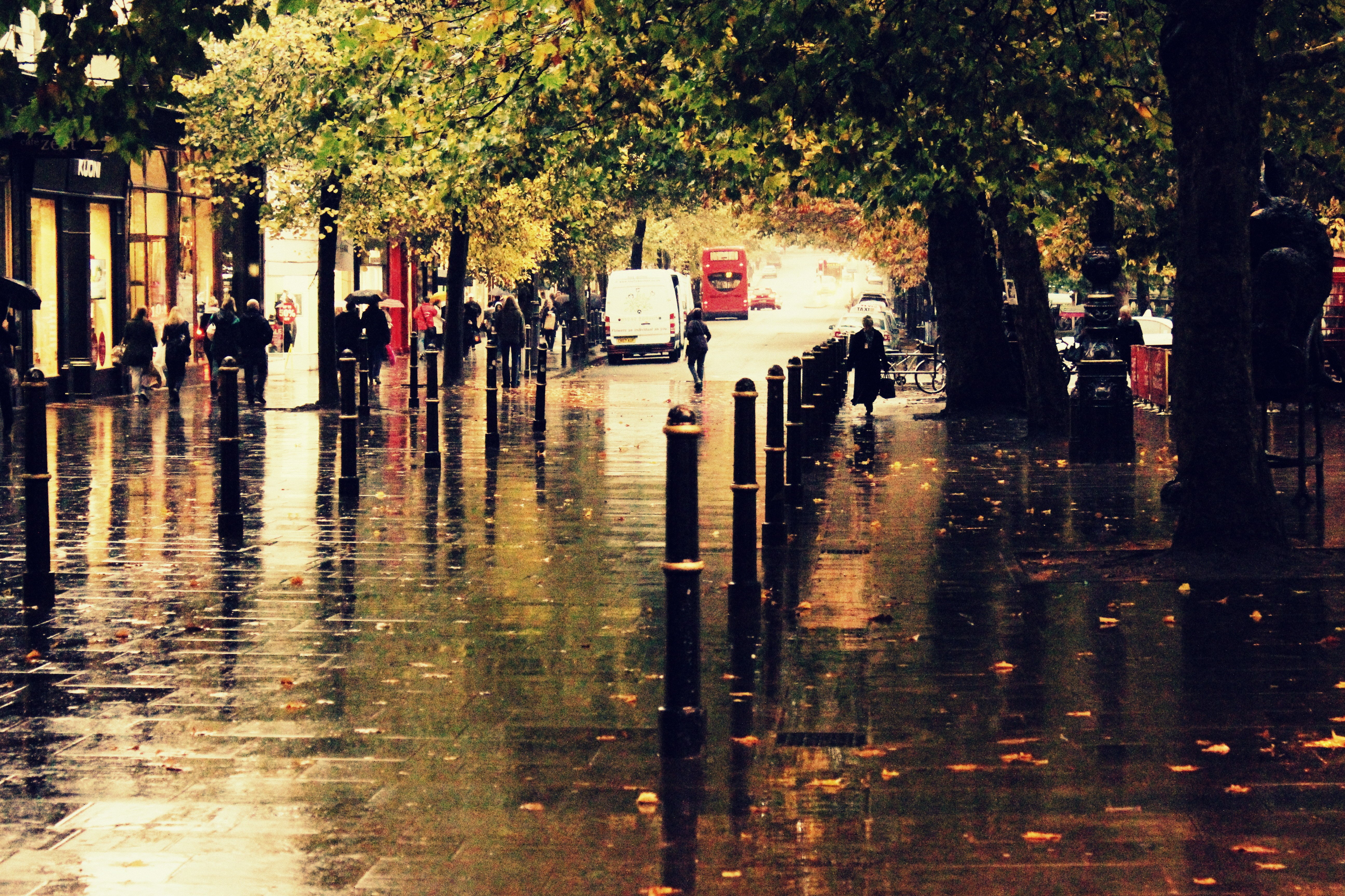 rain, Autumn, Nature, Landscape, Beauty, City, Street Wallpaper
