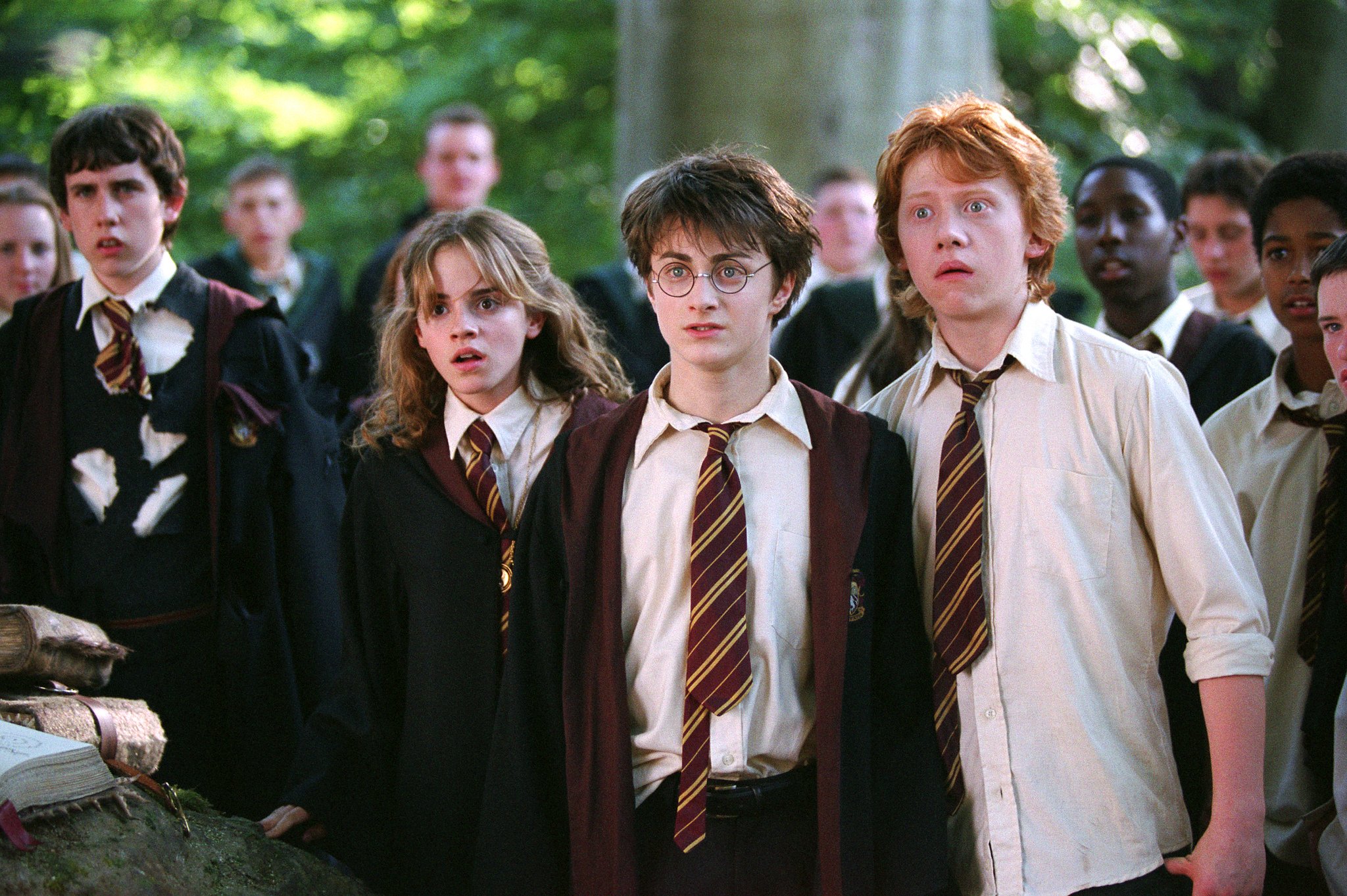 rupert, Grint, Matthew, Lewis, Daniel, Radcliffe, Emma, Watson, Harry, Potter, Movie Wallpaper