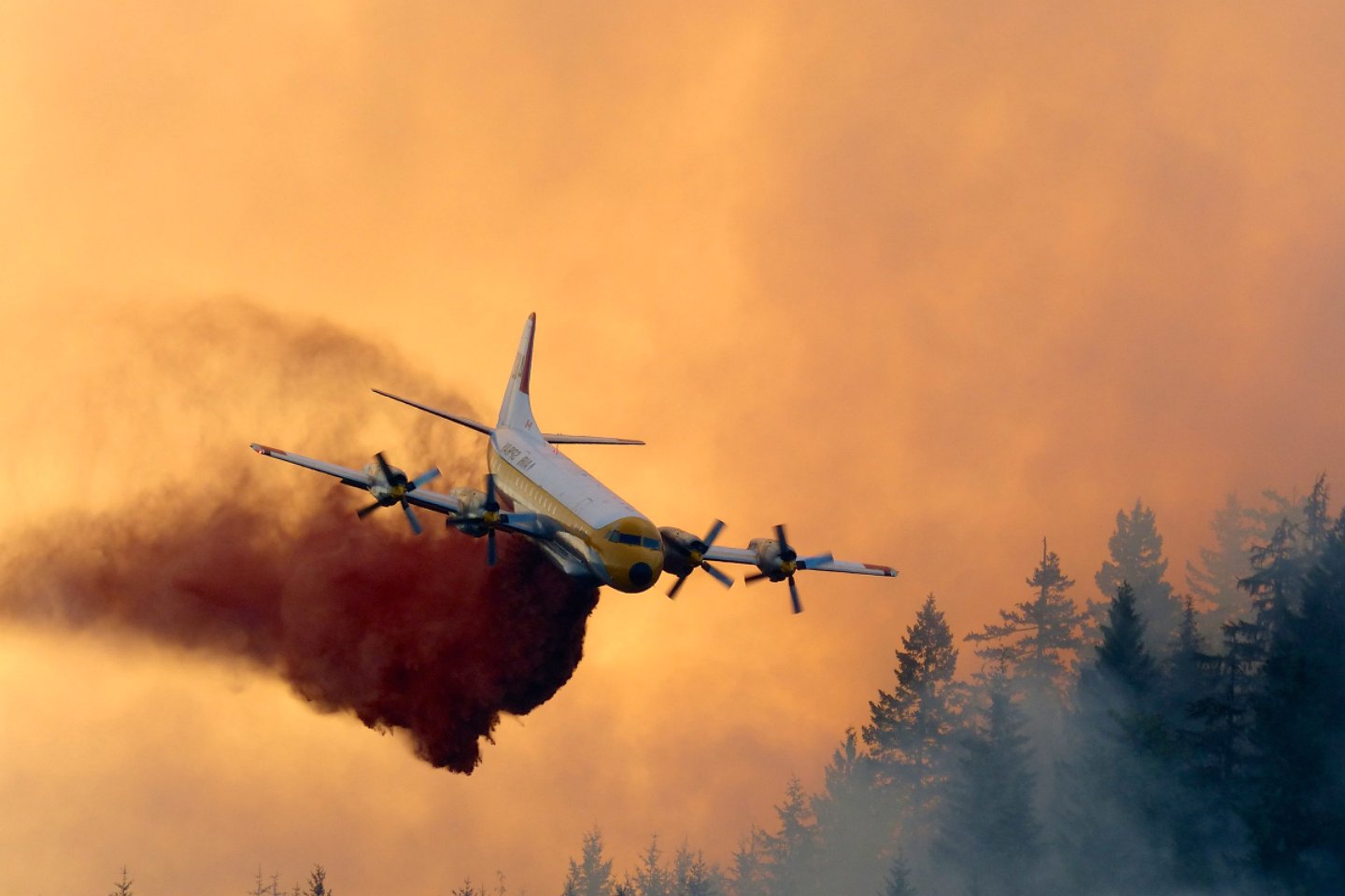 air, Tanker, Aircraft, Airplane, Jet, Airliner, Forest, Fire, Airtanker, Emergency Wallpaper