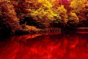 nature, Autumn, Lake, Forest, Red, Beauty