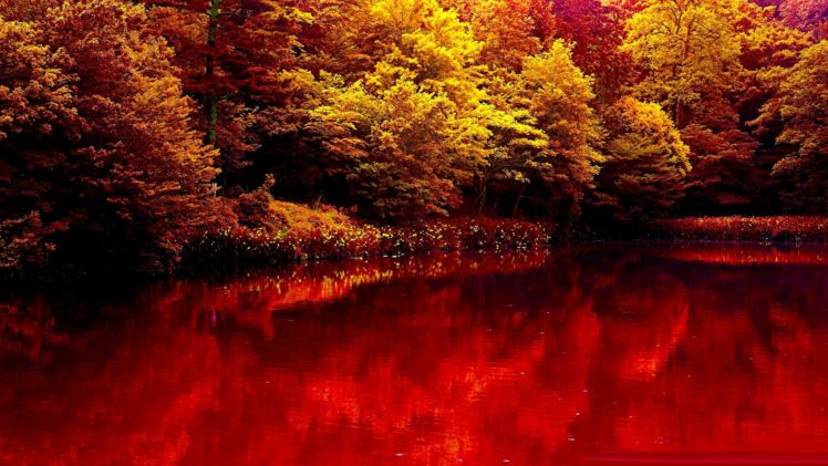 nature, Autumn, Lake, Forest, Red, Beauty HD Wallpaper Desktop Background