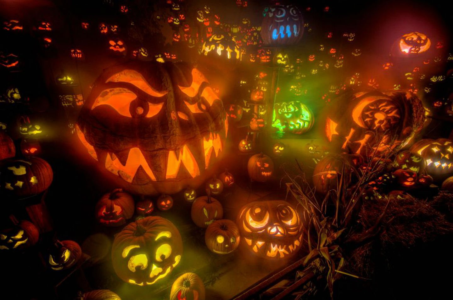 Halloween spotlight 6. Halloween Lights. Хеллоуинский дарк Риддл.